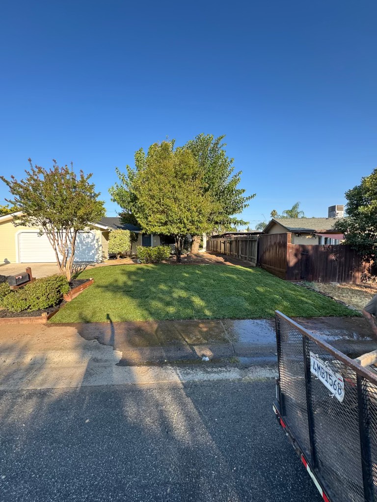 Same front yard after: fresh green sod, trimmed trees, and clean planter beds